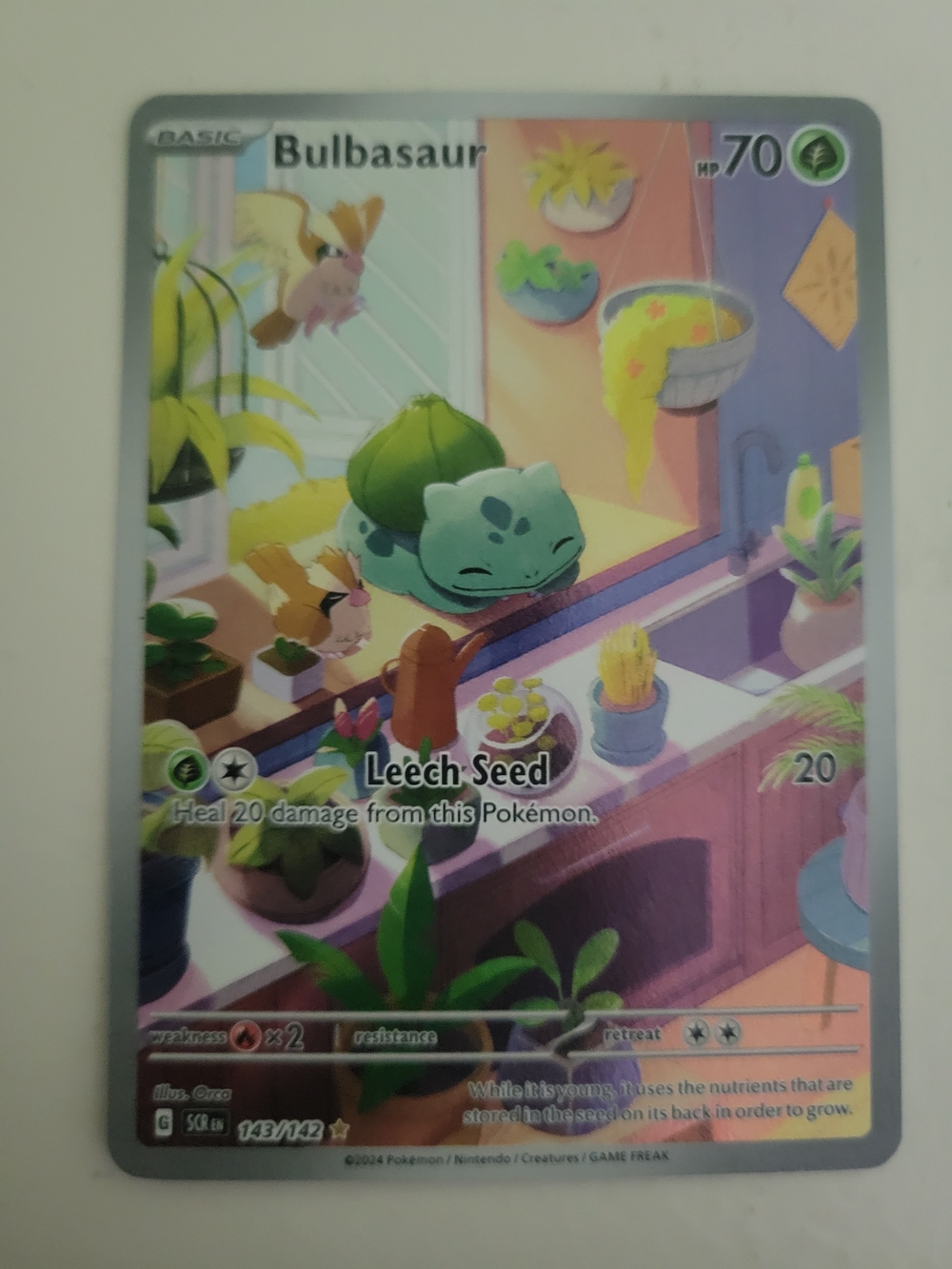 Pokemon Bulbasaur Card - Green, Pink, Purple